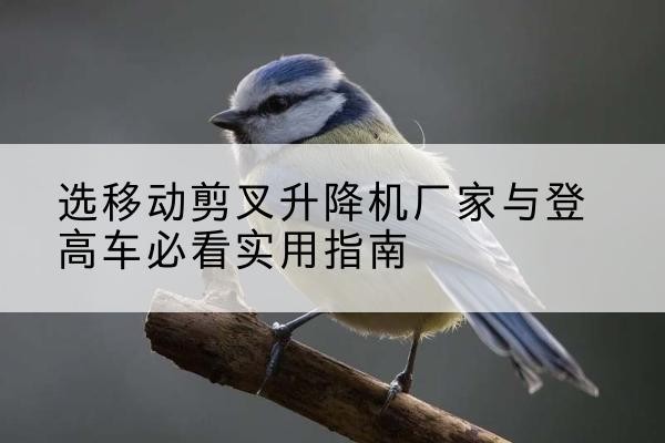 商洛电动升降机厂家-选移动剪叉升降机厂家与登高车必看实用指南