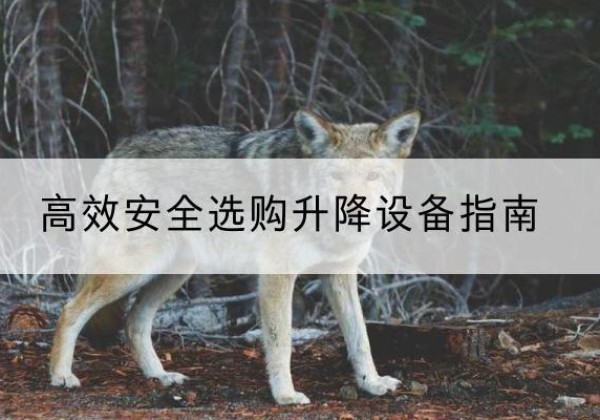 商洛升降货梯厂家推荐-*安全选购升降设备指南