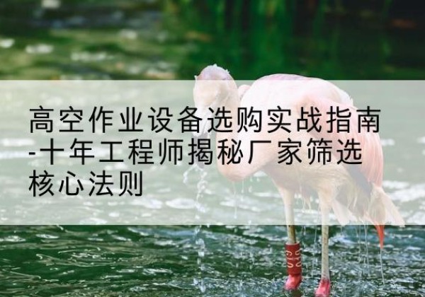 商洛剪叉式升降机厂家-高空作业设备选购实战指南-十年工程师揭秘厂家筛选核心法则